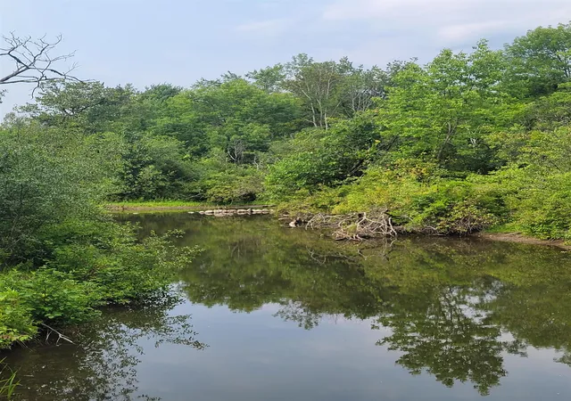 Photo 1 of Land for sale at 2 Belvedere St, Bennington, VT 05201 | MLS# 5102053 | Listing updated on 2026-07-28