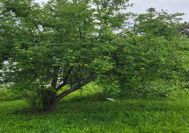 Photo 3 of Land for sale at 2 Belvedere St, Bennington, VT 05201 | MLS# 5102053 | Listing updated on 2026-07-28