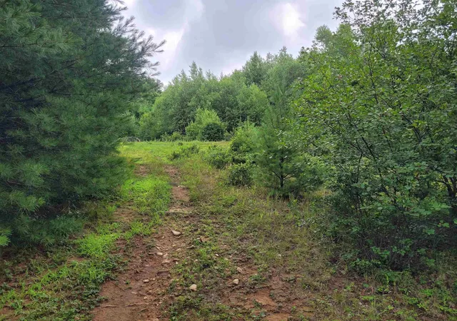 Photo 1 of Land for sale at 0 Prospect Hill Rd, Fitzwilliam, NH 03447 | MLS# 5102084 | Listing updated on 2026-07-28