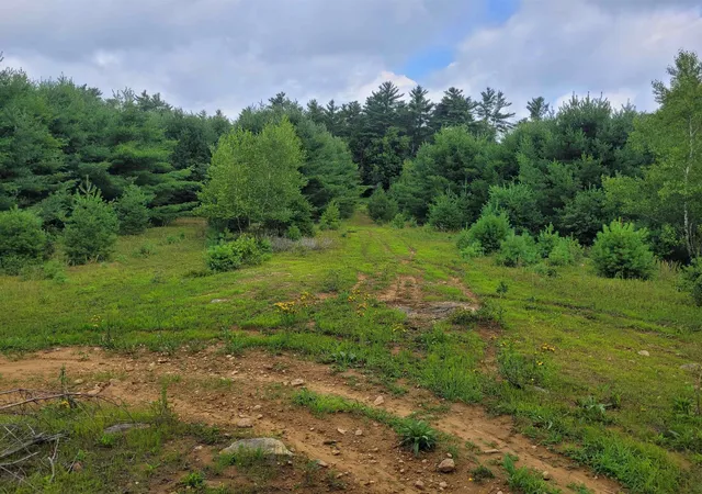 Photo 2 of Land for sale at 0 Prospect Hill Rd, Fitzwilliam, NH 03447 | MLS# 5102084 | Listing updated on 2026-07-28
