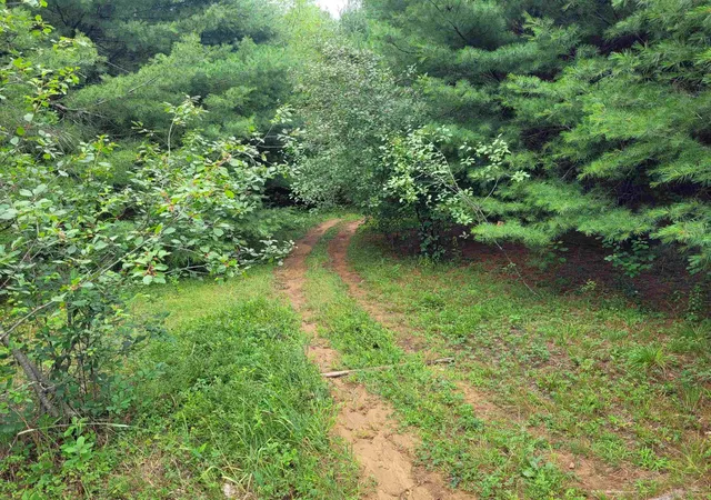 Photo 3 of Land for sale at 0 Prospect Hill Rd, Fitzwilliam, NH 03447 | MLS# 5102084 | Listing updated on 2026-07-28