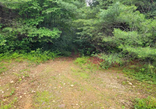 Photo 4 of Land for sale at 0 Prospect Hill Rd, Fitzwilliam, NH 03447 | MLS# 5102084 | Listing updated on 2026-07-28
