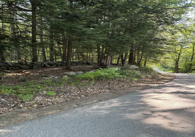 4th image of 0 George Rd, Hebron, NH 03241 | MLS# 5102087