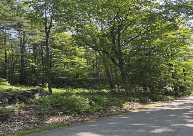 5th image of 0 George Rd, Hebron, NH 03241 | MLS# 5102087