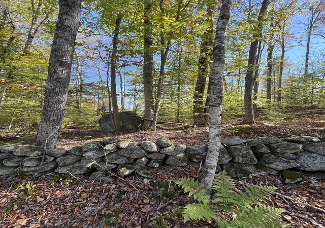 2nd image of Map 227 Lot 010 Underwood Rd, Acworth, NH 03601 | MLS# 5102227