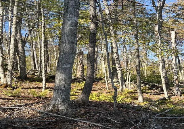 5th image of Map 227 Lot 010 Underwood Rd, Acworth, NH 03601 | MLS# 5102227