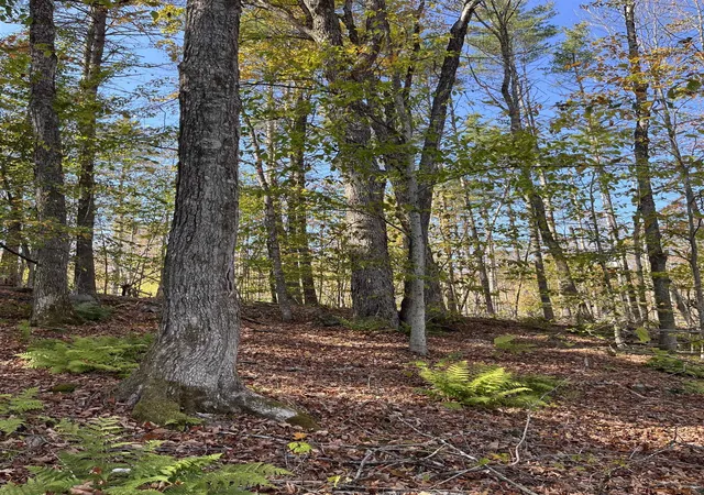 1st image of Map 227 Lot 007 Underwood Rd, Acworth, NH 03601 | MLS# 5102233