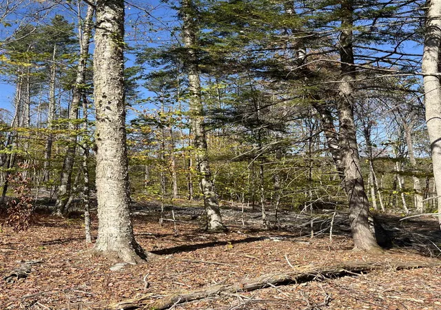 5th image of Map 227 Lot 007 Underwood Rd, Acworth, NH 03601 | MLS# 5102233