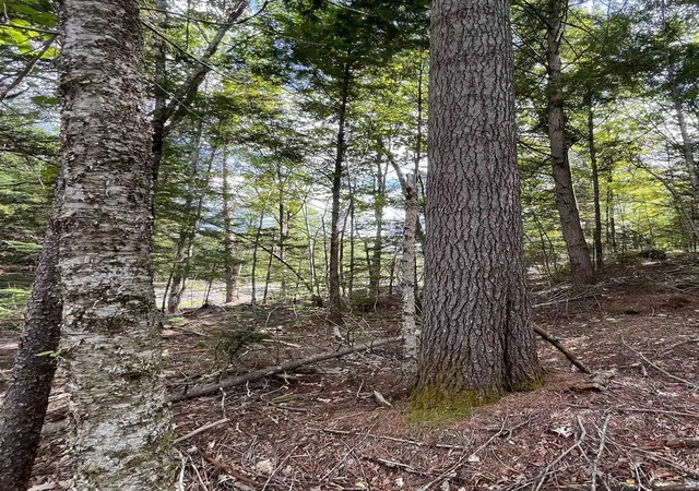 10th image of Map 227 Lot 007 Underwood Rd, Acworth, NH 03601 | MLS# 5102233