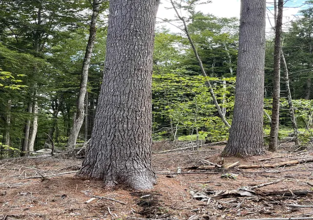 1st image of Lots 7 & 10 Underwood Rd, Acworth, NH 03601 | MLS# 5102235