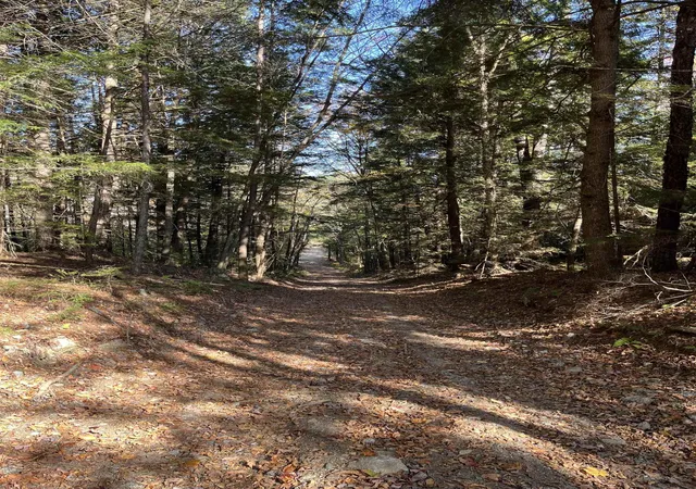 3rd image of Lots 7 & 10 Underwood Rd, Acworth, NH 03601 | MLS# 5102235