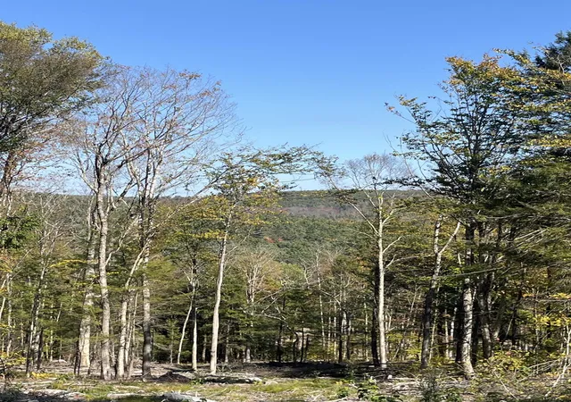 4th image of Lots 7 & 10 Underwood Rd, Acworth, NH 03601 | MLS# 5102235