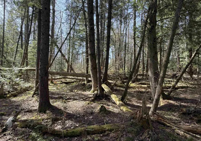 Photo 3 of Land for sale at Woods Rd, Warren, VT 05674 | MLS# 5102247 | Listing updated on 2026-07-30