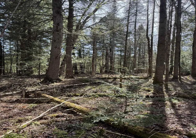Photo 3 of Land for sale at Woods Rd, Warren, VT 05674 | MLS# 5102247 | Listing updated on 2026-07-30