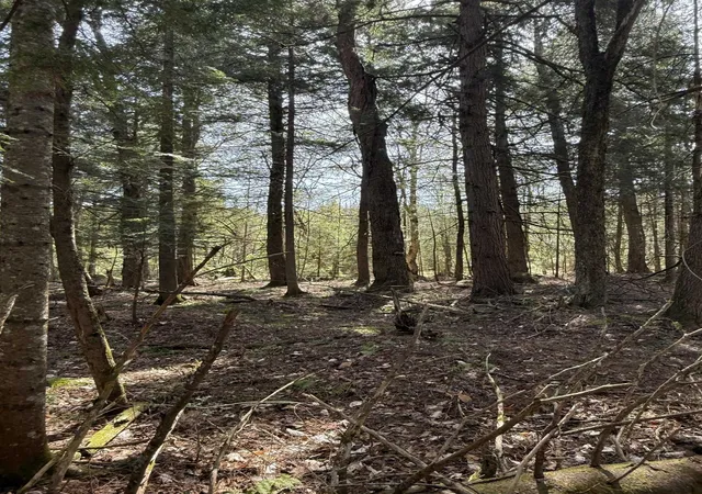 Photo 4 of Land for sale at Woods Rd, Warren, VT 05674 | MLS# 5102247 | Listing updated on 2026-07-30