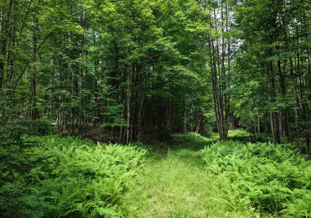 Photo 2 of Land for sale at 4766 Duck Pond Rd, Saint Johnsbury, VT 05819 | MLS# 5102333 | Listing updated on 2026-07-29