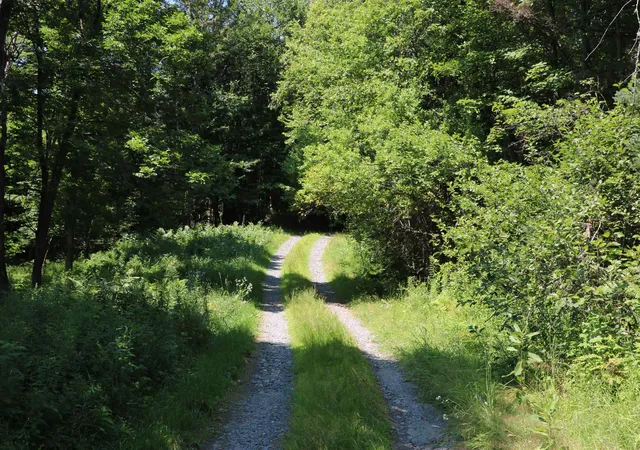 Photo 4 of Land for sale at 4766 Duck Pond Rd, Saint Johnsbury, VT 05819 | MLS# 5102333 | Listing updated on 2026-07-29