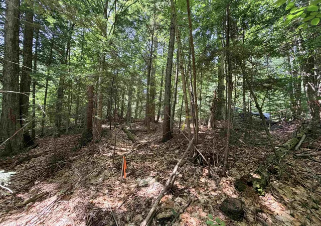 Photo 4 of Land for sale at 56 & 57 Boardman Loop, West Wardsboro, VT 05360 | MLS# 5102345 | Listing updated on 2026-07-30