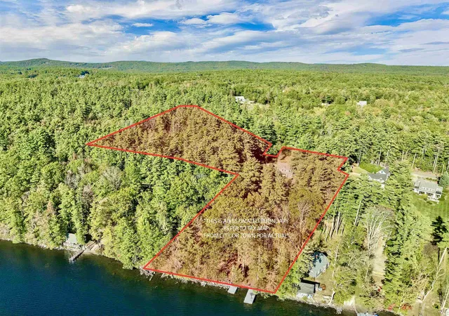 59th image of 377 Wentworth Rd, Brookfield, NH 03872 | MLS# 5102443