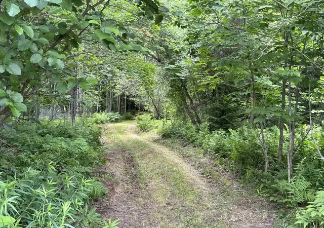 Photo 1 of Land for sale at 0 Richard Woolcutt Rd, Wolcott, VT 05680 | MLS# 5102495 | Listing updated on 2026-09-09