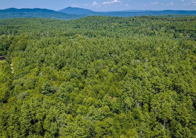 Photo 3 of Land for sale at 0 Trebo Rd, Chester, VT 05143 | MLS# 5102503 | Listing updated on 2026-09-15