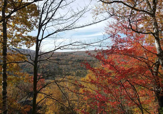 Photo 2 of Land for sale at 2 42 Coopers Tr, Plymouth, VT 05056 | MLS# 5102566 | Listing updated on 2026-07-30