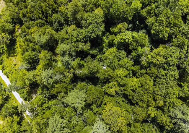 Photo 3 of Land for sale at 0 Water St, Jamaica, VT 05343 | MLS# 5102573 | Listing updated on 2026-09-16