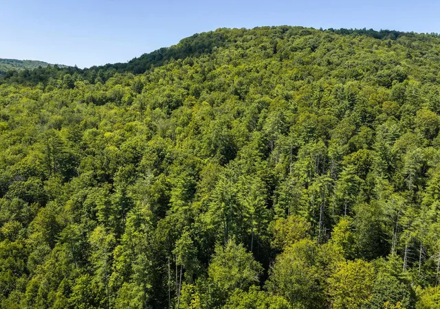 Photo 4 of Land for sale at 0 Water St, Jamaica, VT 05343 | MLS# 5102573 | Listing updated on 2026-09-16