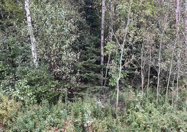 2nd image of 0 Oregon Rd, Lisbon, NH 03585 | MLS# 5102579