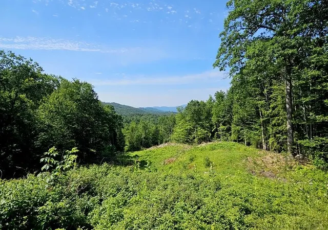 1st image of 29 Mollie Rd, Bristol, NH 03222 | MLS# 5102604