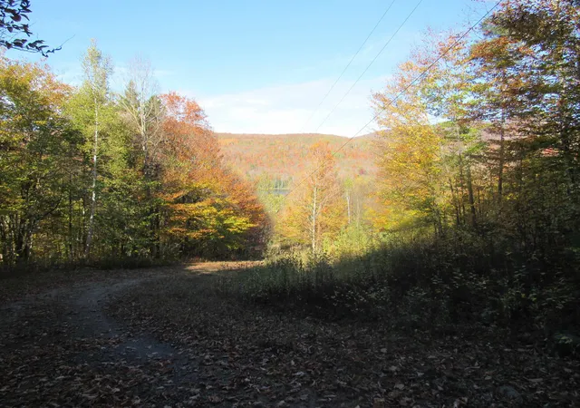 Photo 4 of Single family home for sale at 6791 Us Route 5, Sutton, VT 05867 | MLS# 5102615 | Listing updated on 2026-09-09
