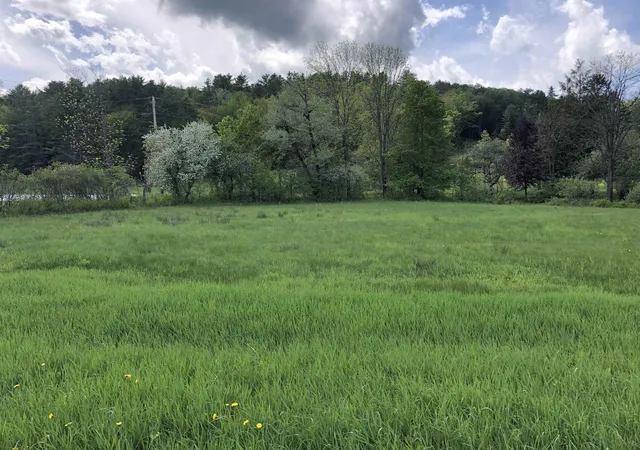 Photo 3 of Land for sale at 0 Main St, Cavendish, VT 05153 | MLS# 5102625 | Listing updated on 2026-08-17