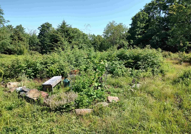 Photo 3 of Land for sale at 2501 Chelsea Mountain Rd, Randolph Center, VT 05061 | MLS# 5102676 | Listing updated on 2026-08-20