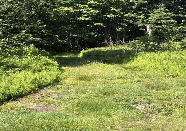 Photo 3 of Land for sale at 2501 Chelsea Mountain Rd, Randolph Center, VT 05061 | MLS# 5102676 | Listing updated on 2026-08-20
