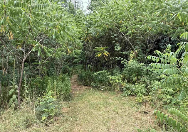 Photo 4 of Single family home for sale at 136 Westford Rd, Milton, VT 05468 | MLS# 5102677 | Listing updated on 2026-09-29