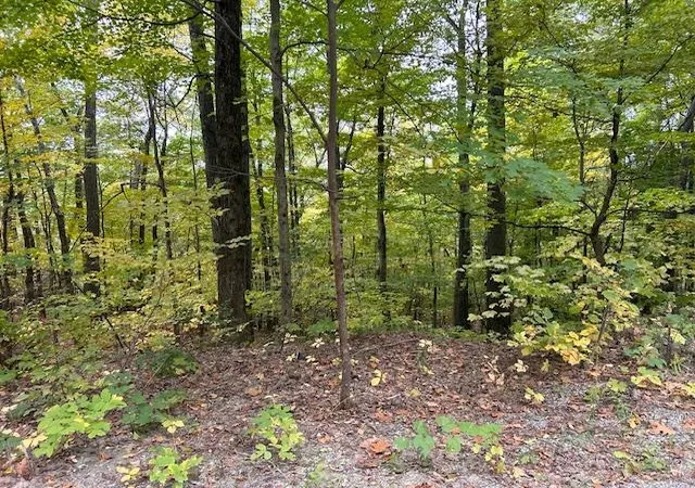 Photo 1 of Land for sale at 0 Mount Anthony Rd, Bennington, VT 05201 | MLS# 5102718 | Listing updated on 2026-07-31