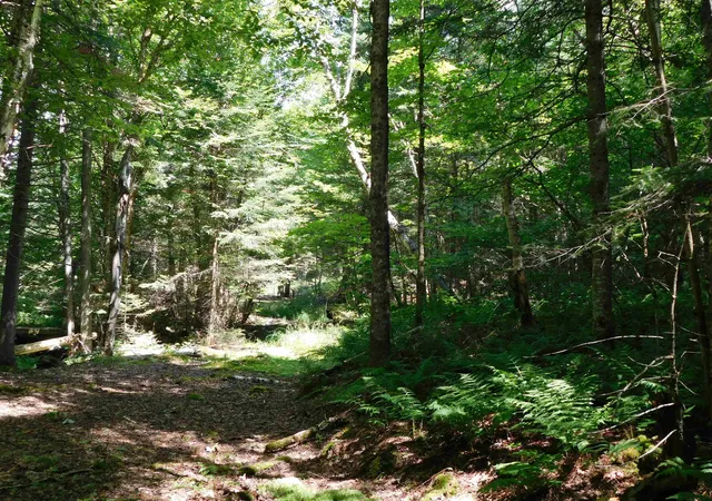 Land for sale at 0 Cloutiers Loop, Pittsburg, NH 03592 | MLS# 5102752