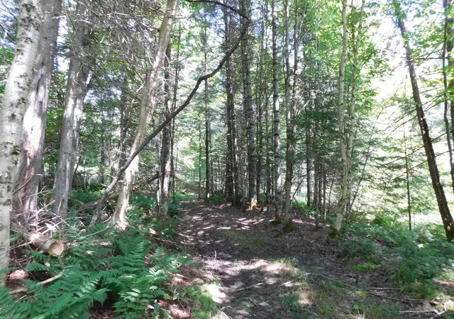 Photo 2 of Land for sale at 0 Cloutiers Loop, Pittsburg, NH 03592 | MLS# 5102752 | Listing updated on 2026-08-31