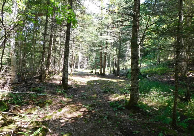 Photo 3 of Land for sale at 0 Cloutiers Loop, Pittsburg, NH 03592 | MLS# 5102752 | Listing updated on 2026-08-31