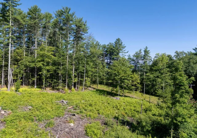 Photo 3 of Land for sale at 0 Pleasant Valley Rd, Brattleboro, VT 05301 | MLS# 5102764 | Listing updated on 2026-08-26