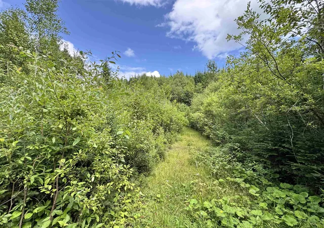 Photo 3 of Land for sale at Lot 10 Quimby Rd, Stewartstown, NH 03576 | MLS# 5102781 | Listing updated on 2026-09-12