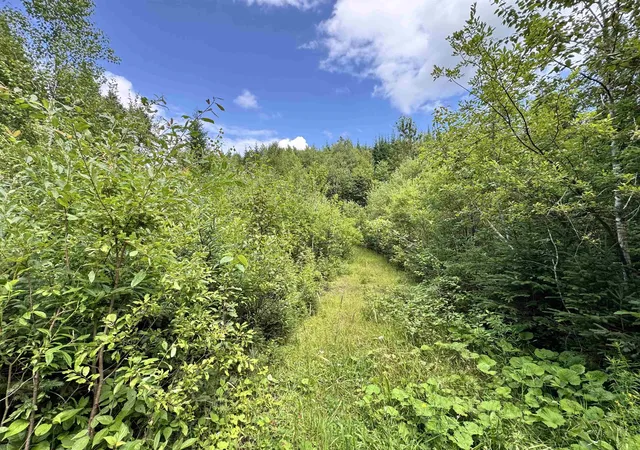 Photo 3 of Land for sale at Lot 10 Quimby Rd, Stewartstown, NH 03576 | MLS# 5102781 | Listing updated on 2026-09-12