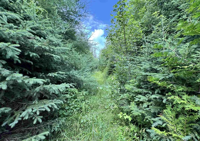 Photo 4 of Land for sale at Lot 10 Quimby Rd, Stewartstown, NH 03576 | MLS# 5102781 | Listing updated on 2026-09-12
