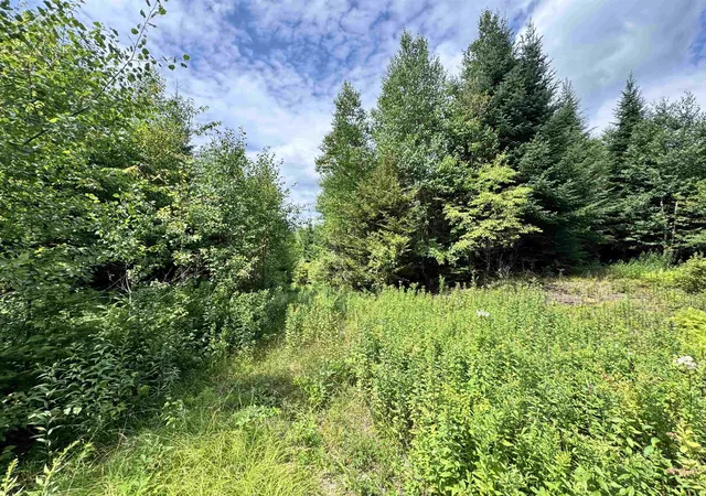 Photo 10 of Land for sale at Lot 10 Quimby Rd, Stewartstown, NH 03576 | MLS# 5102781 | Listing updated on 2026-09-12
