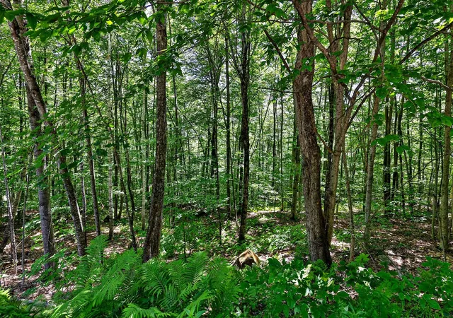 Photo 3 of Land for sale at 2 76 Falcon Ridge Rd, Plymouth, VT 05056 | MLS# 5102809 | Listing updated on 2026-07-31