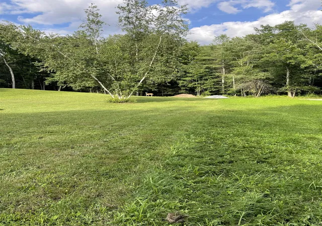 Photo 3 of Land for sale at 0 Townline Rd, Mendon, VT 05701 | MLS# 5102840 | Listing updated on 2026-10-06