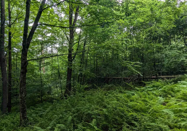 Photo 1 of Land for sale at 0 Dover Rd, Newfane, VT 05351 | MLS# 5102886 | Listing updated on 2026-08-01