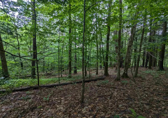 Photo 3 of Land for sale at 0 Dover Rd, Newfane, VT 05351 | MLS# 5102886 | Listing updated on 2026-08-01