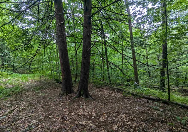 Photo 3 of Land for sale at 0 Dover Rd, Newfane, VT 05351 | MLS# 5102886 | Listing updated on 2026-08-01