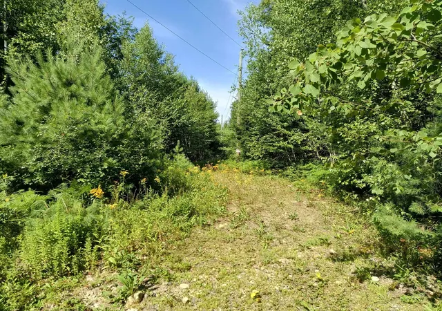 1st image of Map 7 Lot 335 Jaffrey Rd, Marlborough, NH 03455 | MLS# 5102902